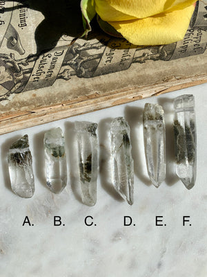 Chlorite Included Quartz Necklace ~ You Pick!