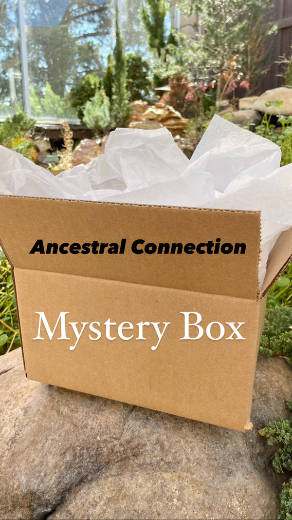 Ancestral Connection Mystery Box $80 - Sugar Studio Crystals