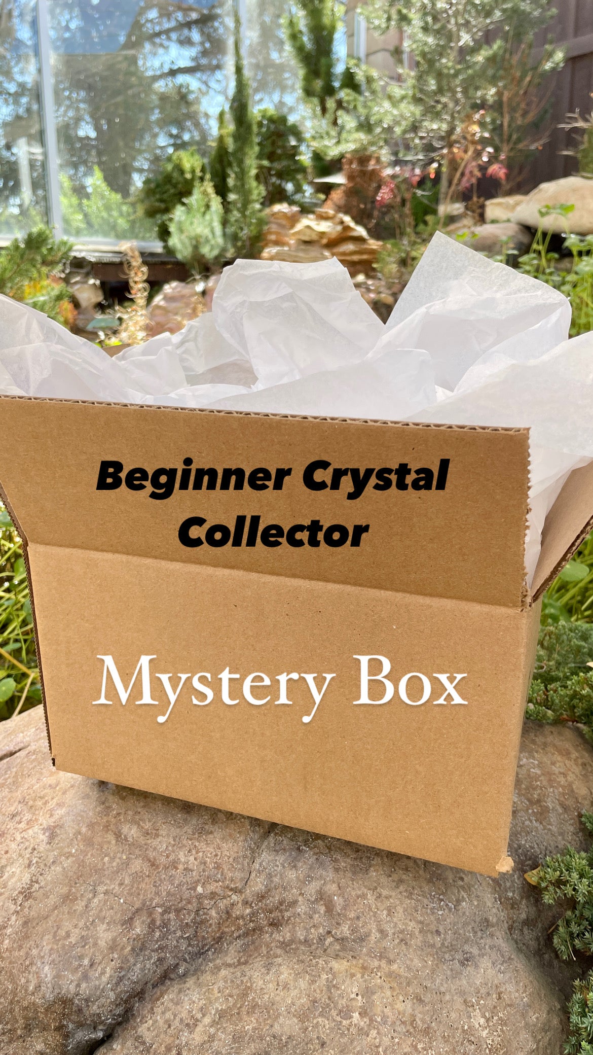 Beginner Crystal Collector Mystery Box $80