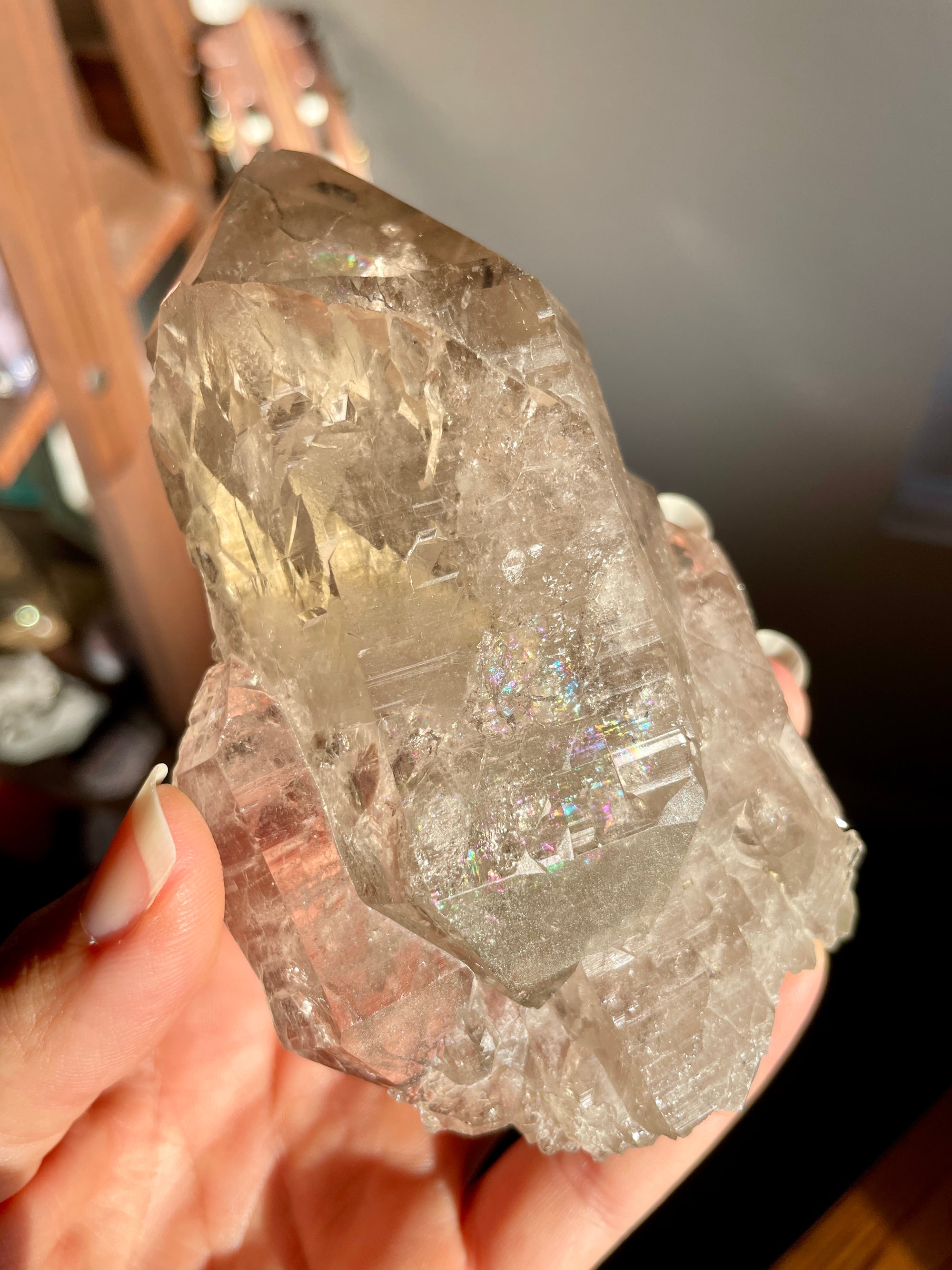 Self Healed Mont Blanc Smoky Quartz
