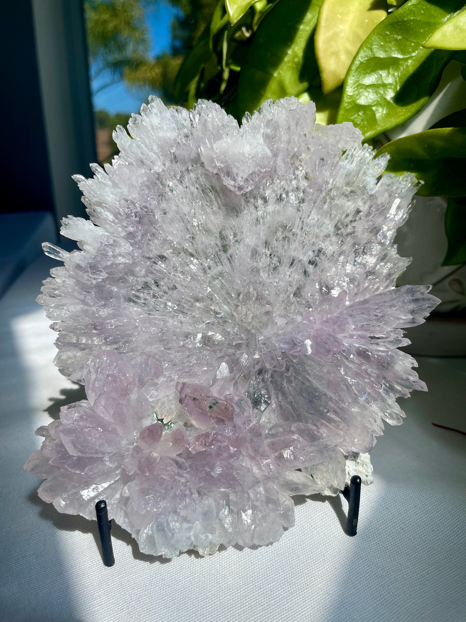 Amethyst Flower on Stand