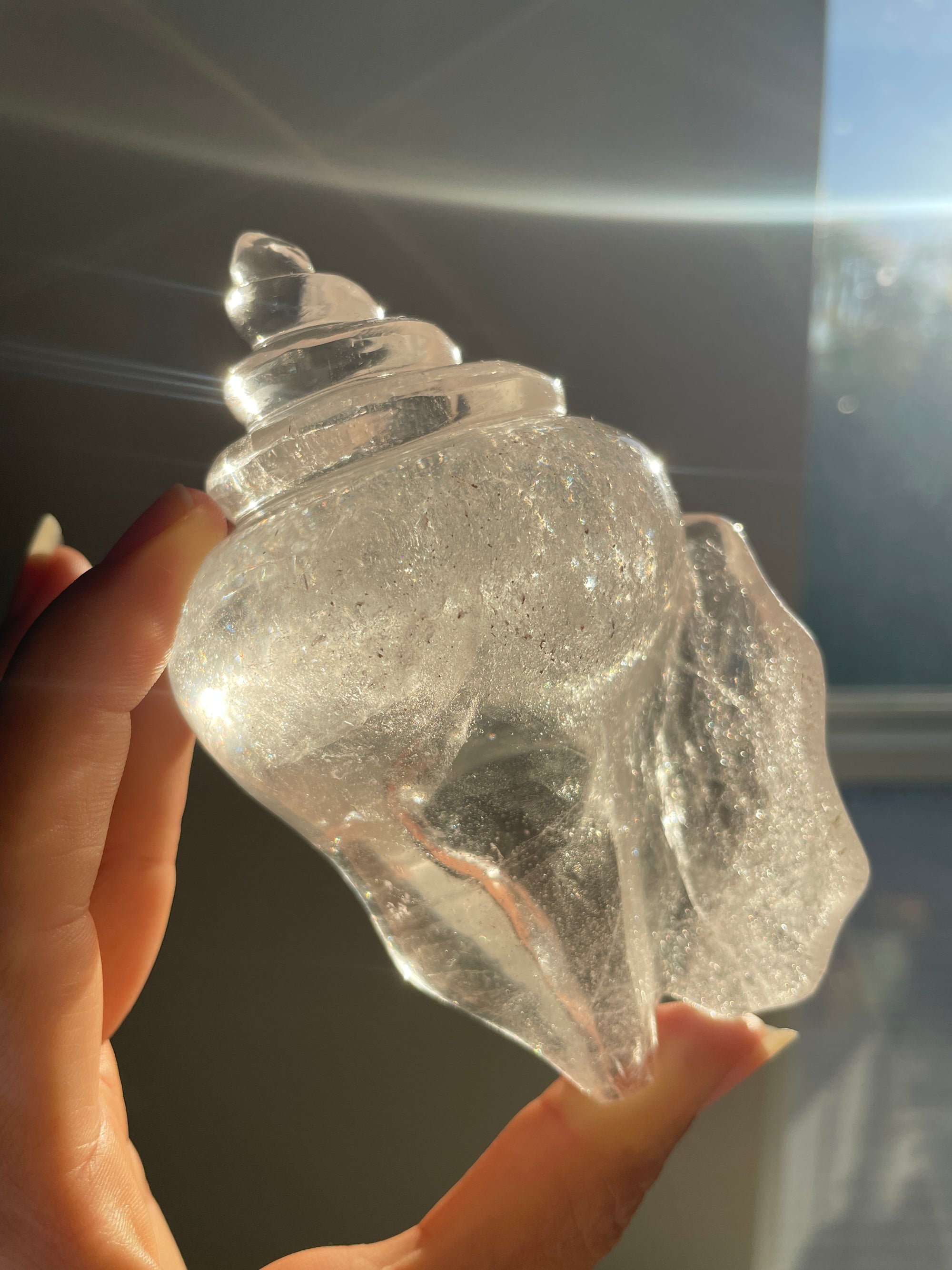 Himalayan Quartz Shell Carving with Micro Enhydros