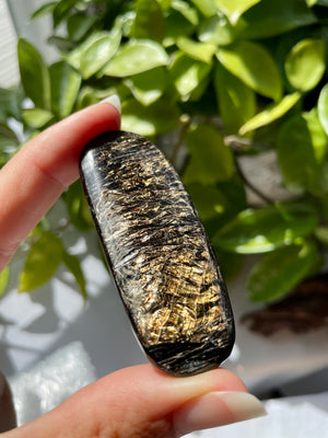 Phlogopite Mica Elongated Palm Stone from Russia