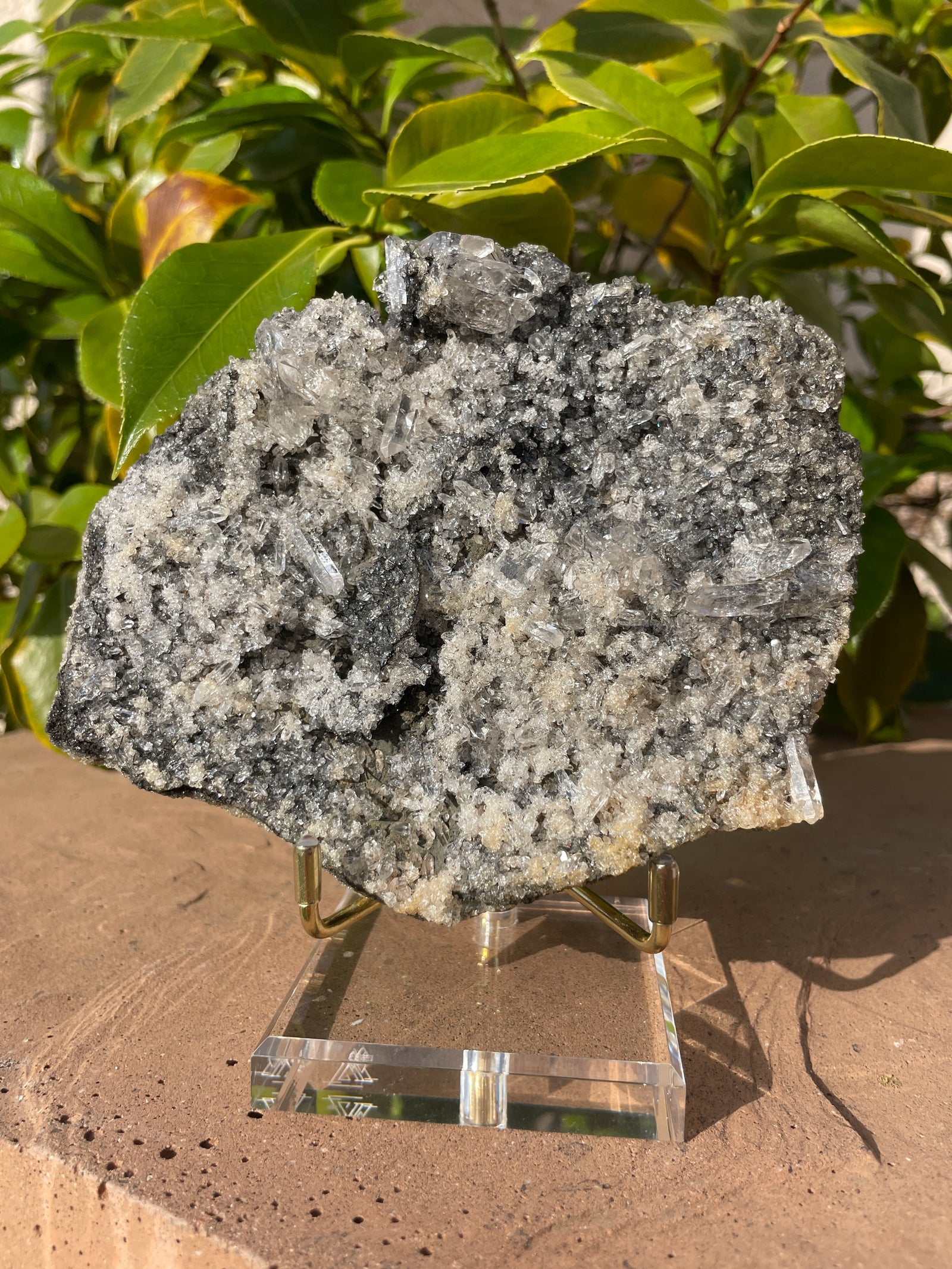 Black Tourmaline Samadhi Himalayan Quartz Cluster with Stand