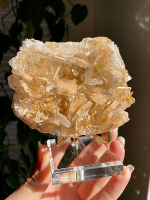 Barite Cluster with Stand from Poland