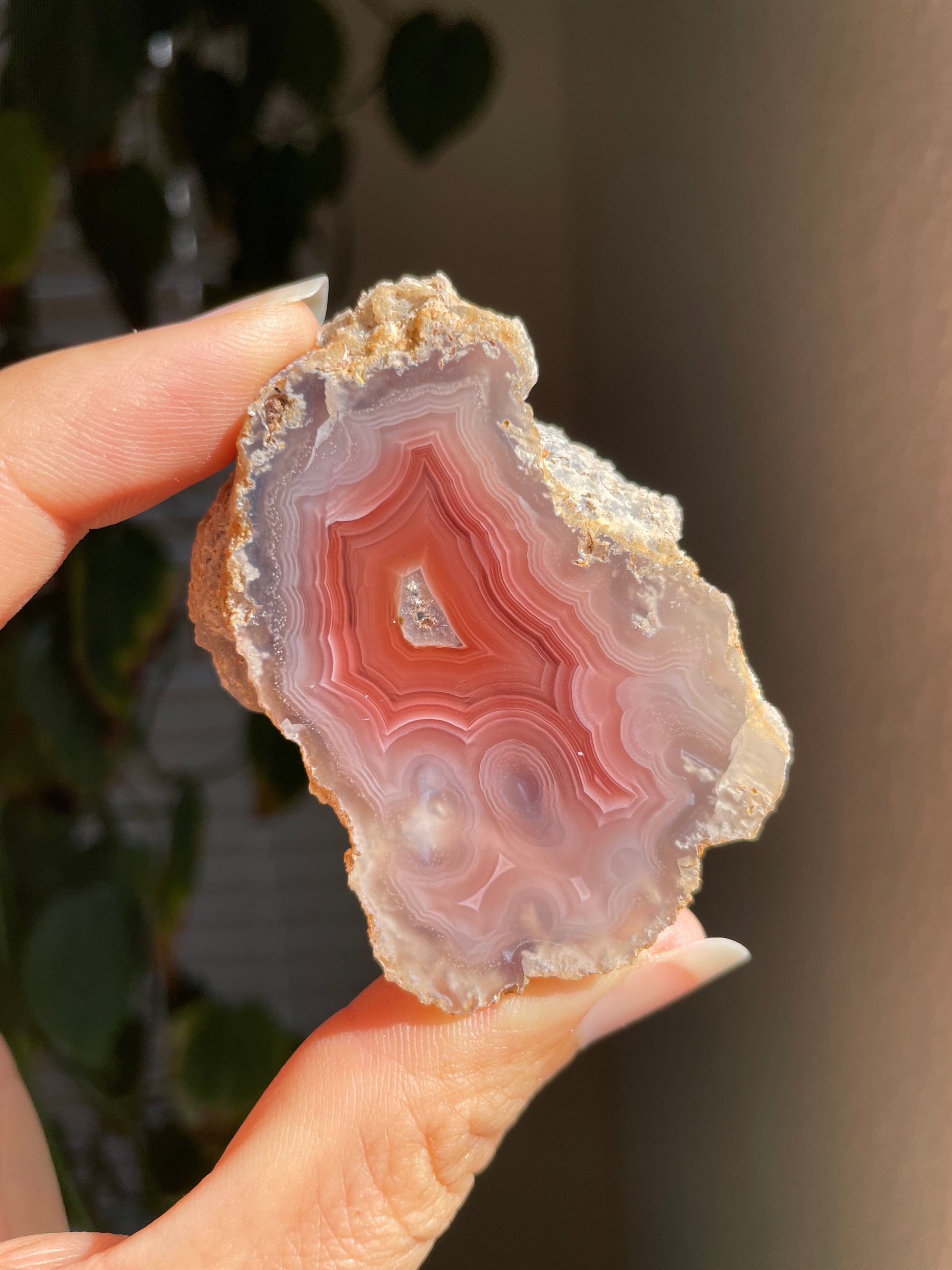 Laguna Agate from Mexico