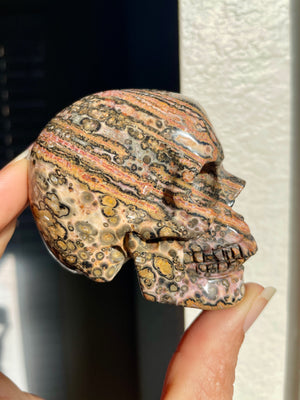 Ocean Jasper Skull