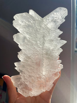 Naica Fishtail Selenite with Stand