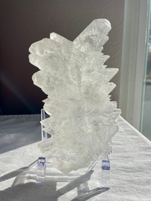 Naica Fishtail Selenite with Stand