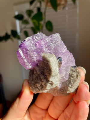 Fluorite with Sphalerite from the Elmwood Mine, Tennessee