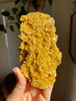 Wulfenite with stand