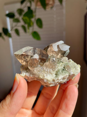 Mont Blanc Smoky Quartz Cluster