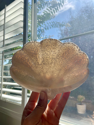 Scolecite Shell Bowl