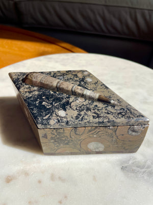 Orthoceras Fossil Box