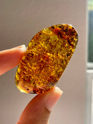 Young Amber Palm Stone with Organic Matter & Bubbles