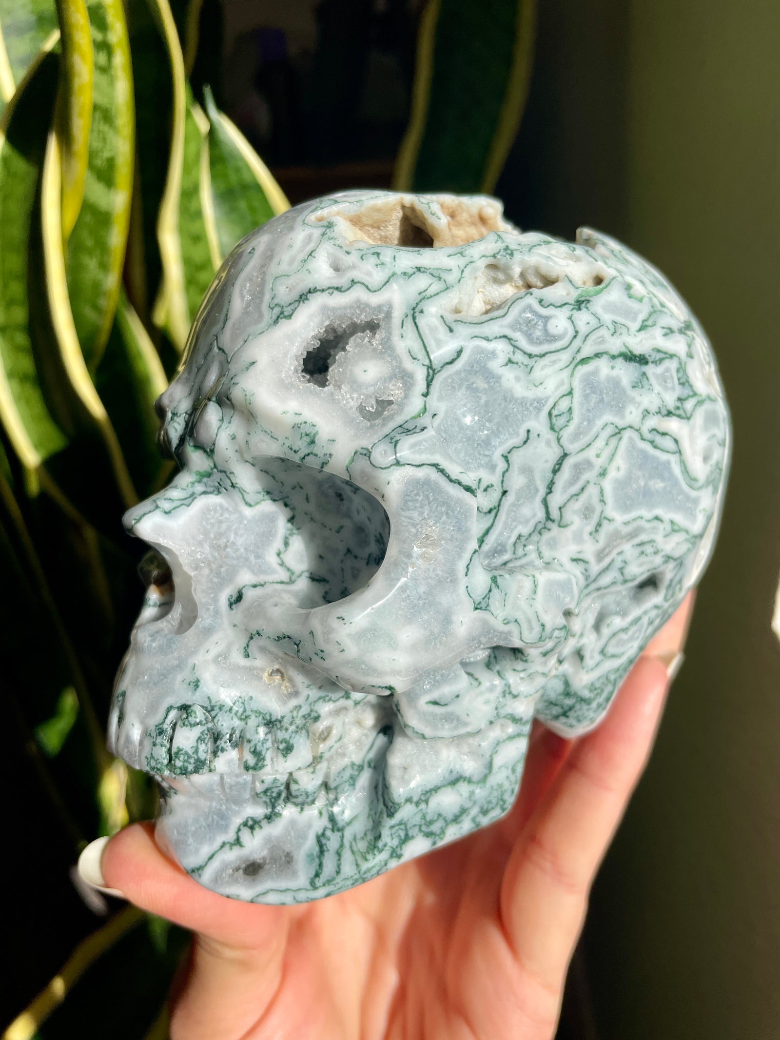 Stunning Moss Agate Skull with Druzy Pockets