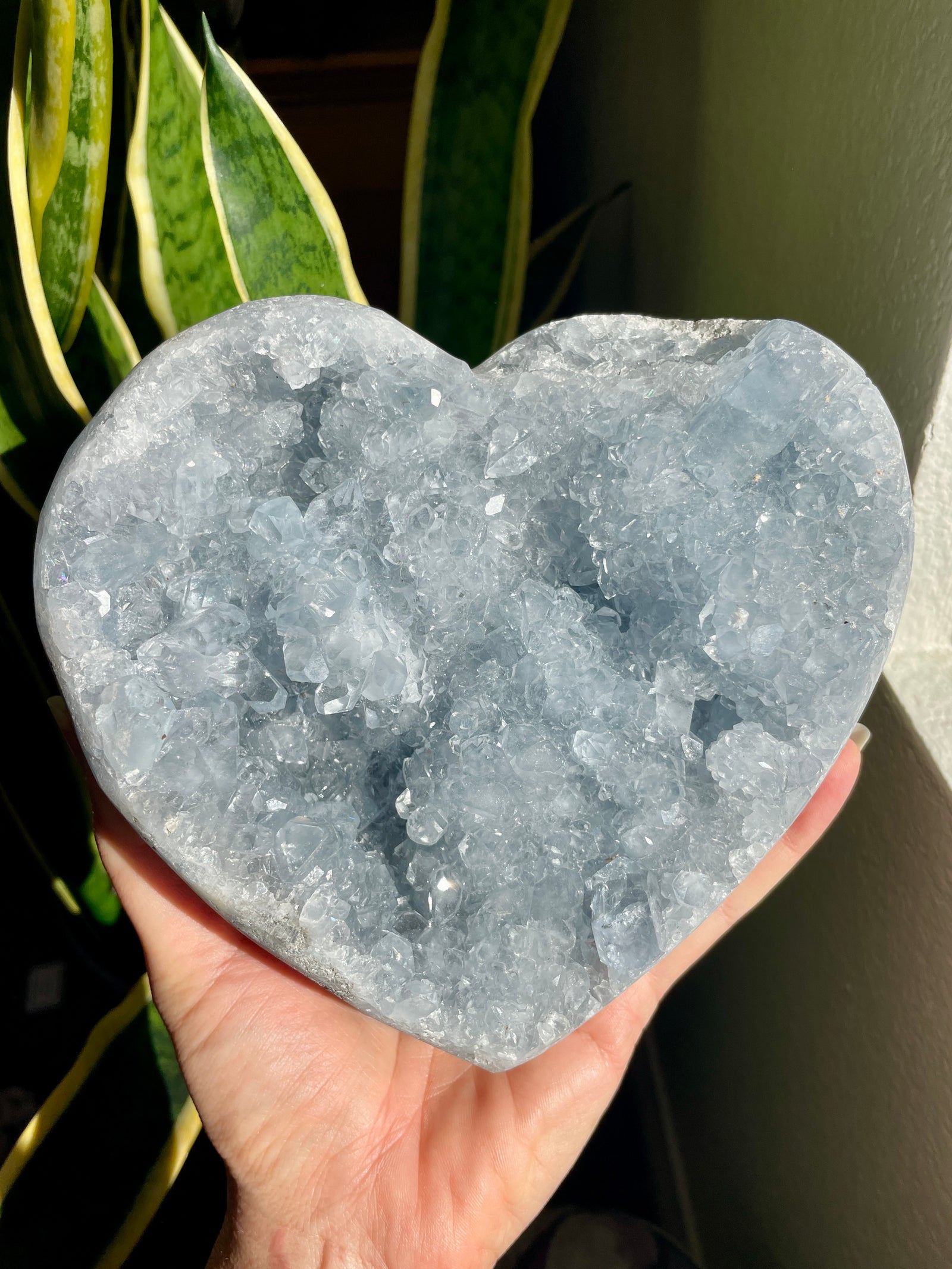XL Heart Celestite Geode