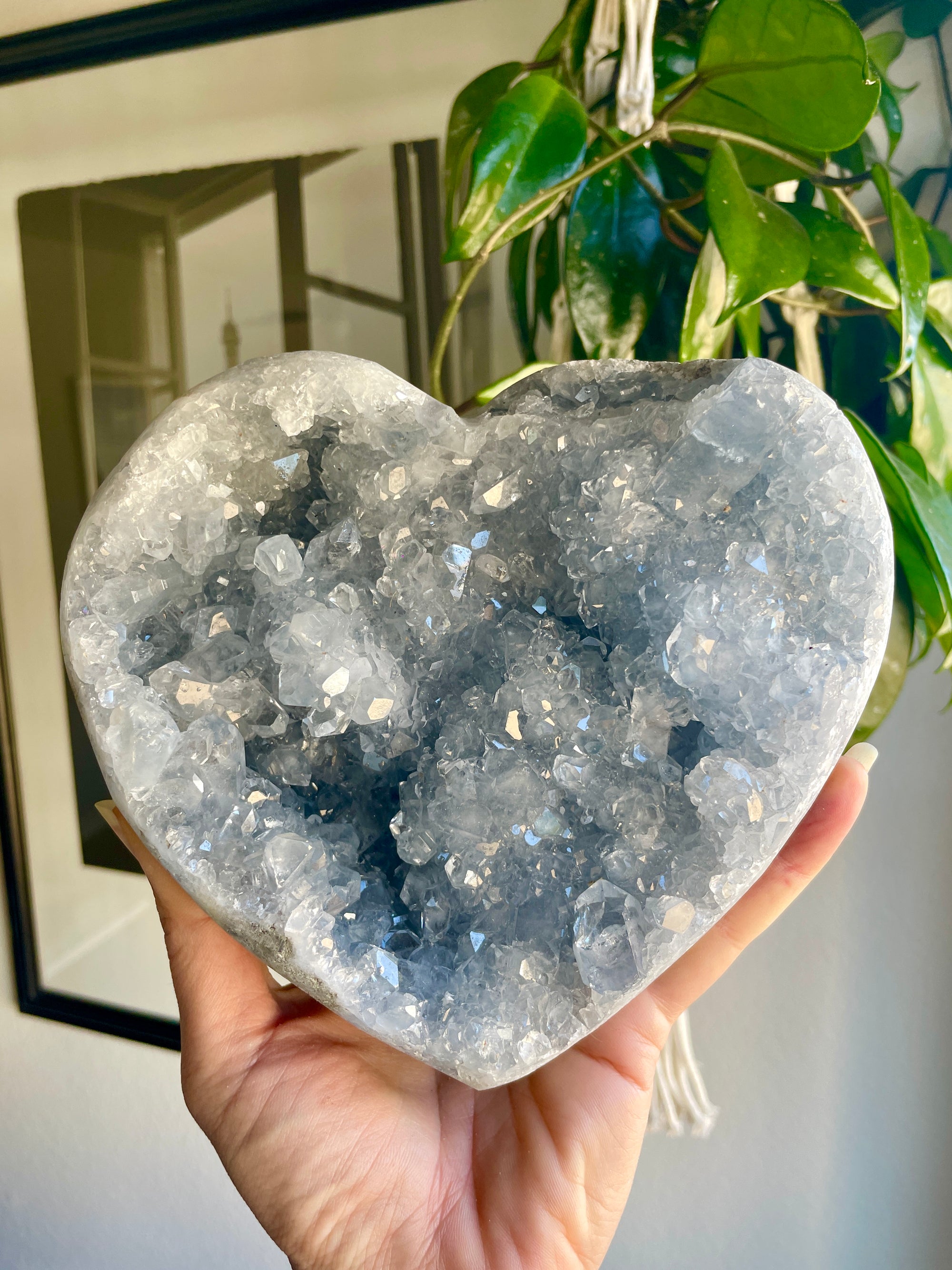 XL Heart Celestite Geode