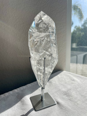 Lemurian in Custom Stand