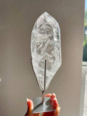 Lemurian in Custom Stand