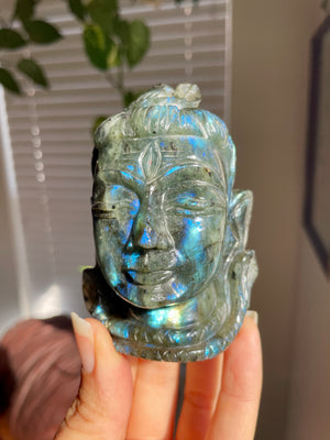 Hand Carved Labradorite Shiva Head