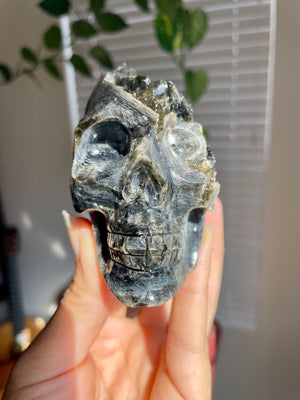 Mica Skull from Brazil