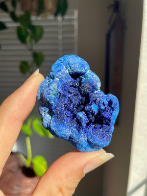 Azurite "Blueberry" Geode