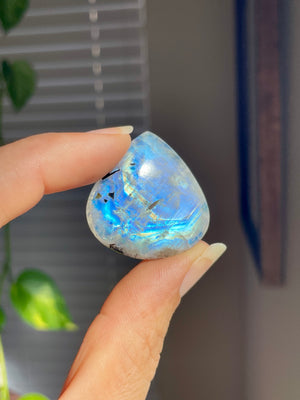 Rainbow Moonstone Teardrop Cabochon