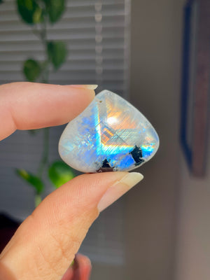 Rainbow Moonstone Teardrop Cabochon