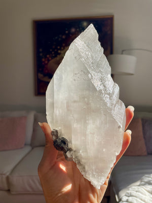 Durango Selenite from La Platosa Mine