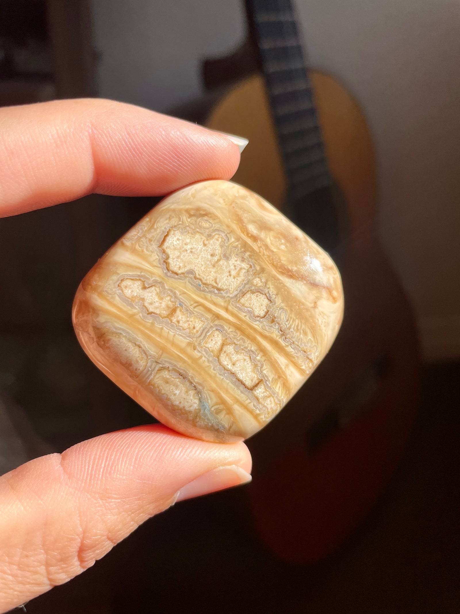 Woolly Mammoth Tooth Fossil Palm Stone