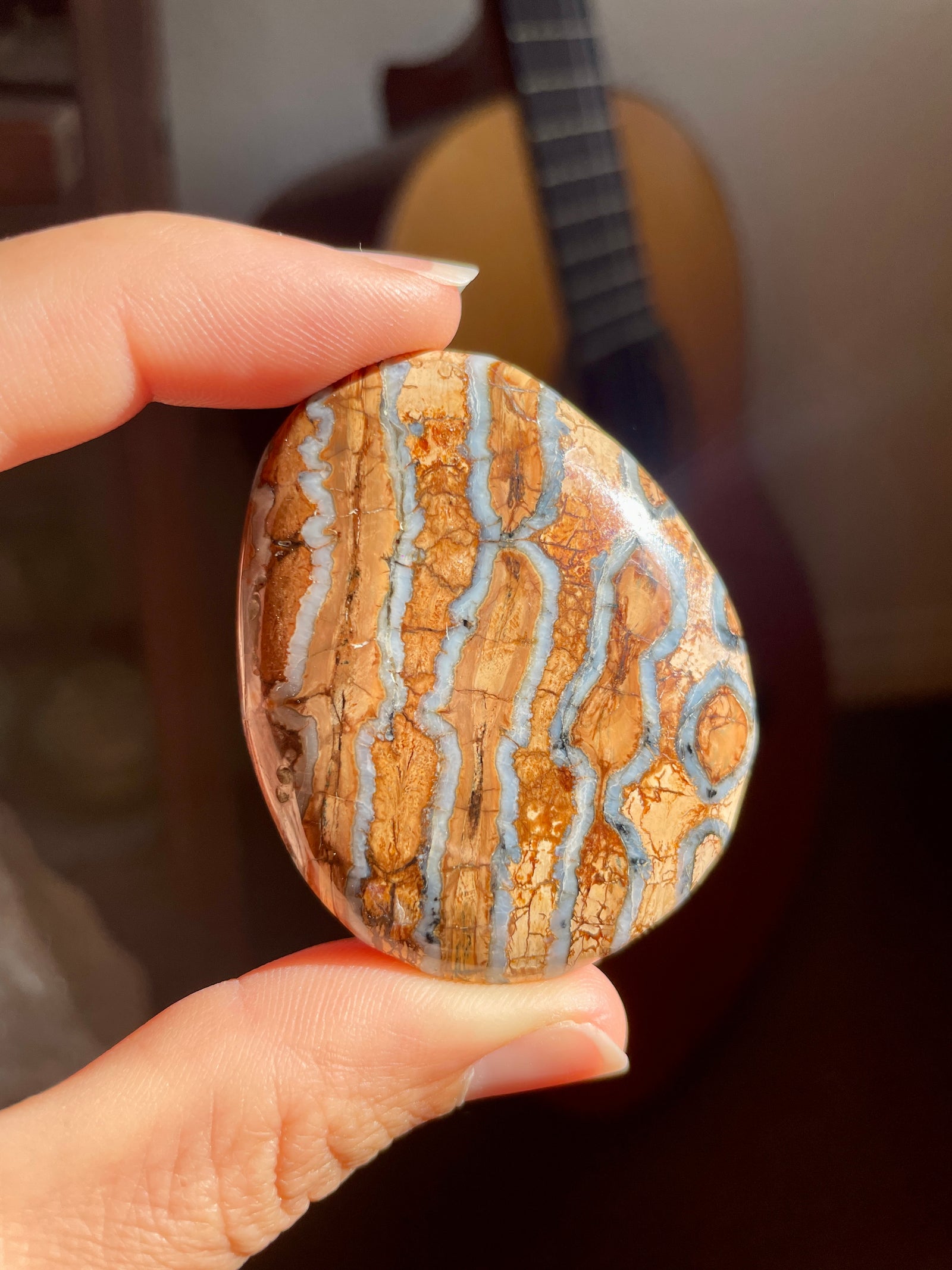 Woolly Mammoth Tooth Fossil Palm Stone