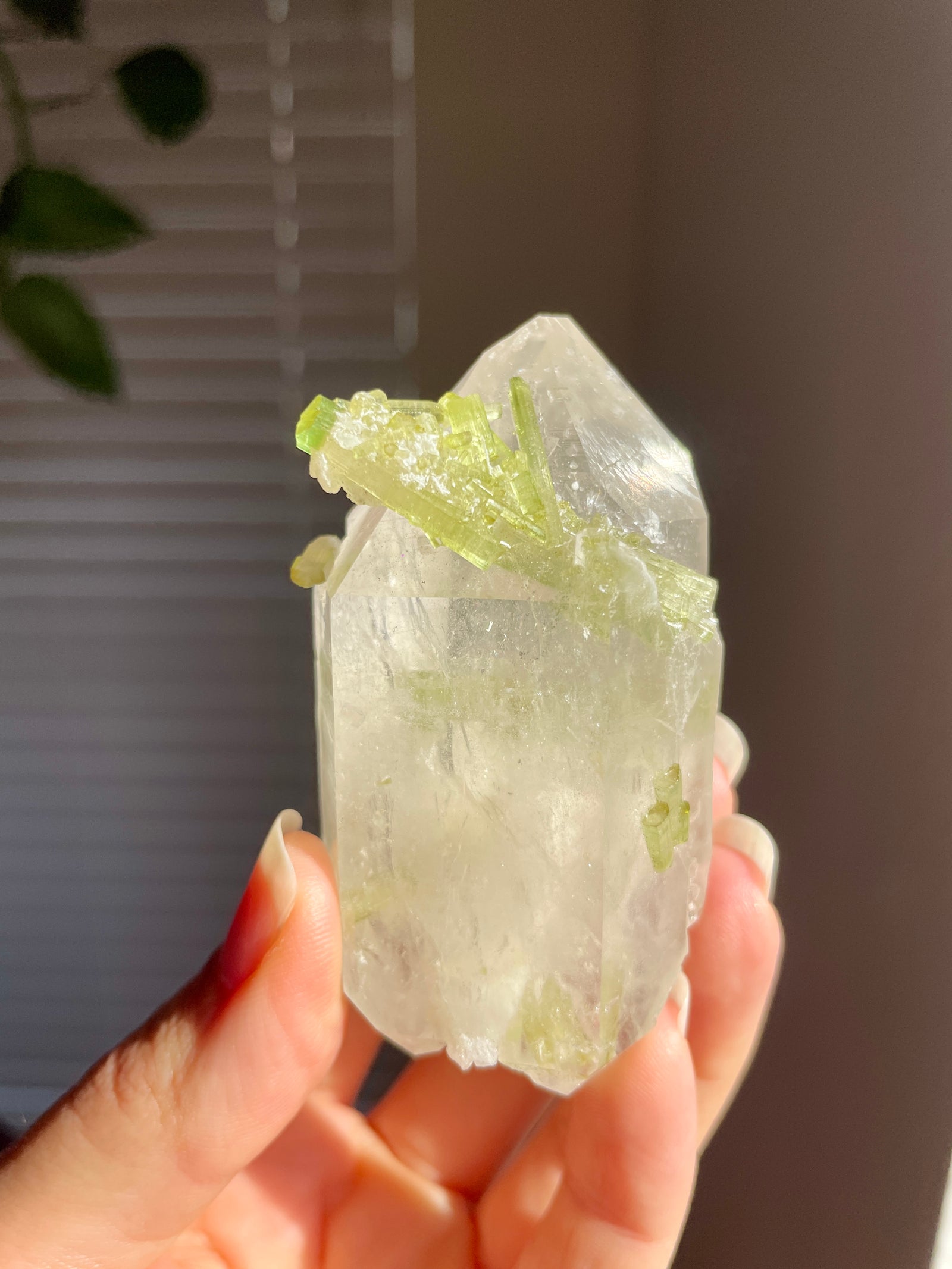 Double Terminated Quartz with Green Tourmaline, Pakistan