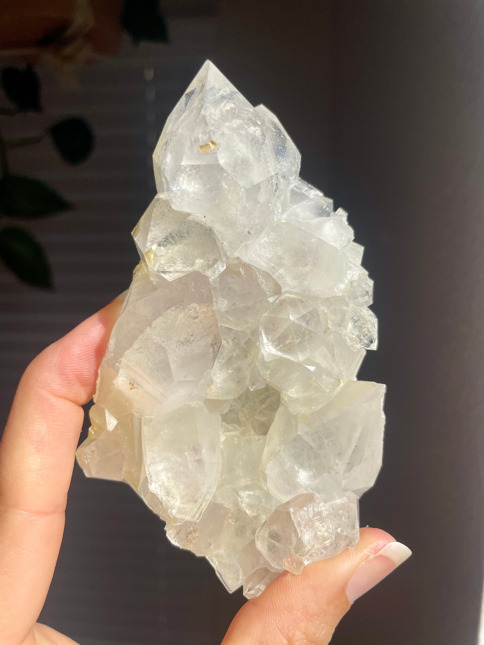 French Alps Quartz Cluster with Stand