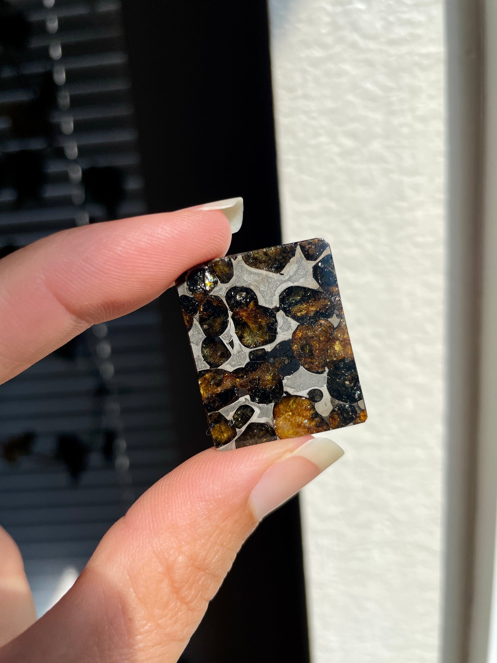 Sericho Pallasite Meteorite with Olivine Crystals
