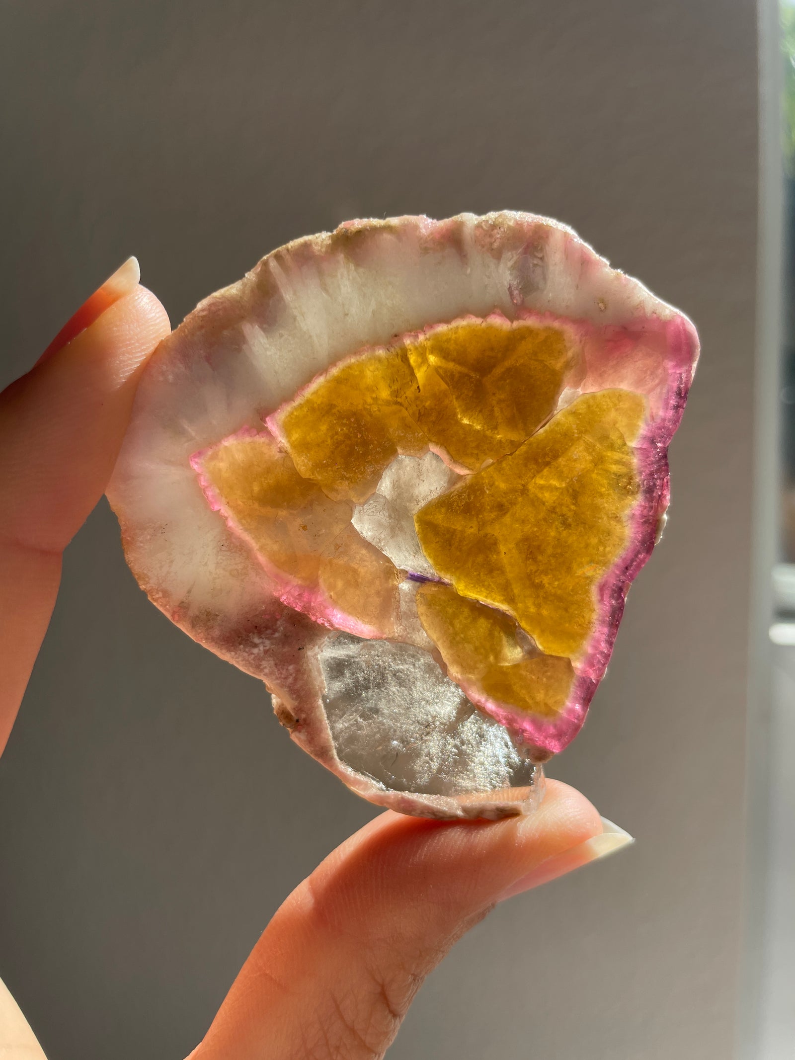 Russian Pink & Yellow Tourmaline Slice with Smoky Quartz