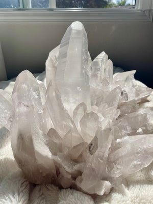 56 LB Stunning Slightly Pink Lemurian Cluster