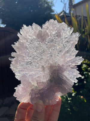 Amethyst Flower on Stand