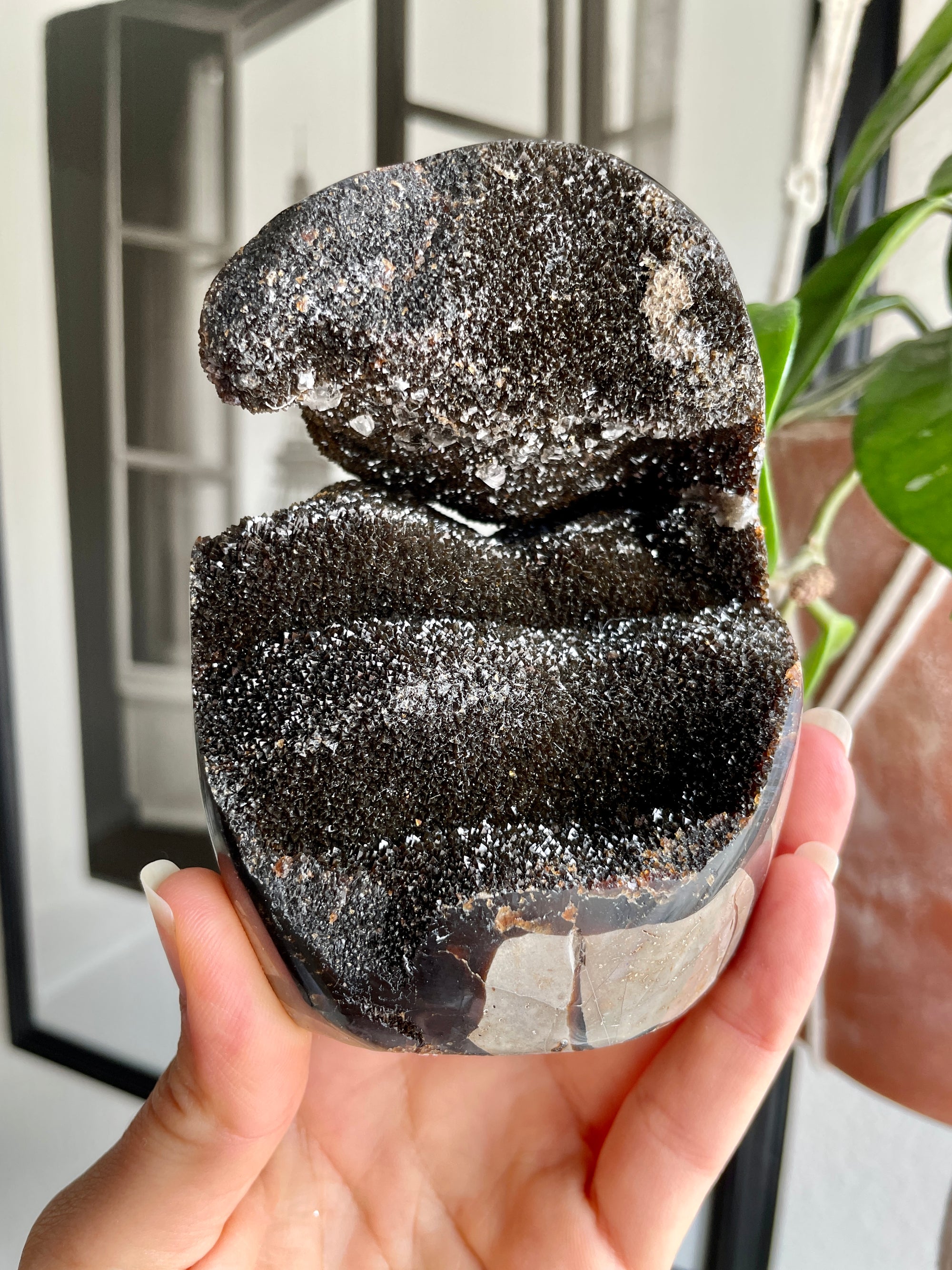 Septarian Freeform