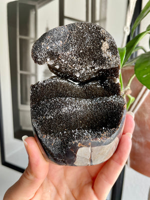 Septarian Freeform