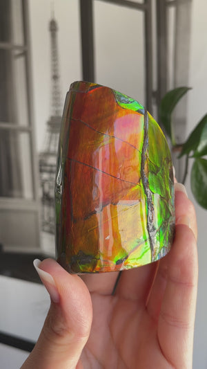 Self Standing Ammolite