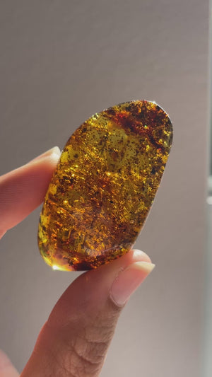 Young Amber Palm Stone with Organic Matter & Bubbles