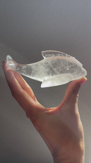 Himalayan Quartz Hand Carved Dolphin
