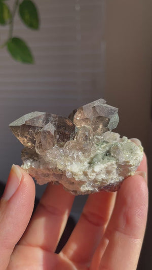 Mont Blanc Smoky Quartz Cluster