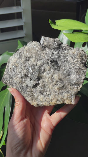 Black Tourmaline Samadhi Himalayan Quartz Cluster with Stand