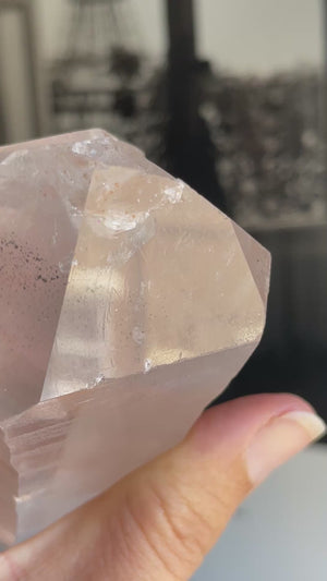 Double Terminated Brazilian Lemurian with Penetrator Crystal & Record Keepers