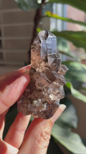 Mont Blanc Smoky Quartz Cluster with Hematite and Epidote