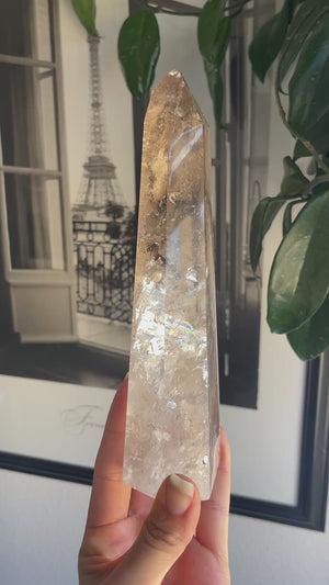 Smoky and Clear Brazilian Lemurian Tower