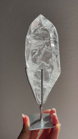Lemurian in Custom Stand