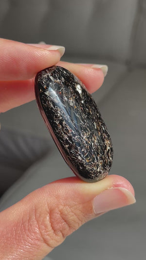 Astrophyllite Palm Stone from Russia